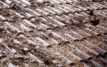 Abcott roof cleaning companies